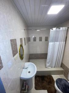 a bathroom with a sink and a shower at KSA Apartments in Georgetown