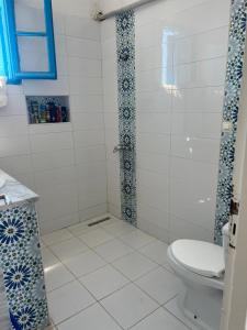 a bathroom with a shower and a toilet in it at Villa dar nina hergla in Harqalah