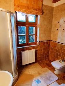 a bathroom with a toilet and a window at Kiskúti Vendégház in Monoszló +41 photos