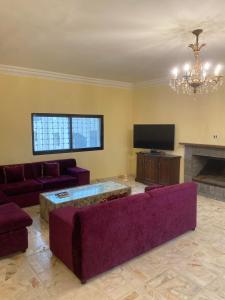 a living room with a purple couch and a tv at Iyad apartment in Amman
