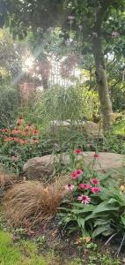 A garden outside Aplagårdens vingård