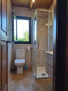 a bathroom with a toilet and a glass shower at La Casa del Carballo in Pisones +20 photos