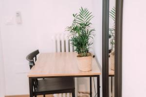 Fotografie z fotogalerie ubytování Concept Rooms ve Valencii
