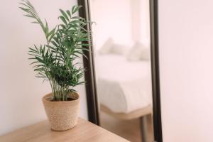 Postel nebo postele na pokoji v ubytování Concept Rooms