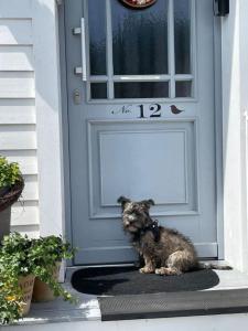 a small dog sitting in front of a door at Saarlouis, Ortsteil Beaumarais "Anna's Cottage"Bed&Breakfast "#TravellerAwards 2022" in Saarlouis