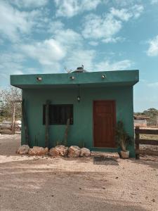 提席曼的住宿－Casitas at Rancho Kuxtal，绿色屋顶的小房子