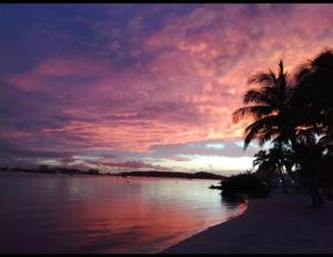 un tramonto su una spiaggia con palme e acqua di Les pieds dans l’eau a Baie Nettle