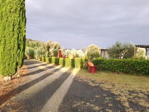 Aed väljaspool majutusasutust Podere Oliveta