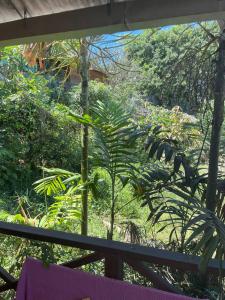 Zahrada ubytování La Bananeraie Apt 35m2 piscine jardin tropical parking privé