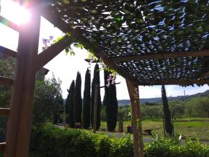 Aed väljaspool majutusasutust Podere Oliveta