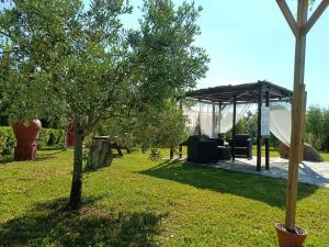 Aed väljaspool majutusasutust Podere Oliveta