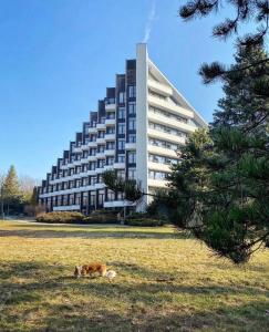 Budova, v ktorej sa apartmán nachádza