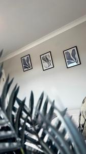 a room with pictures on the wall and a plant at The Cheshire Gathering - With Hot Tub in Chester