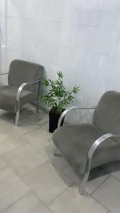 two chairs and a potted plant in a waiting room at Hotel Angely in Belo Horizonte