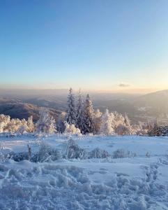 Príroda v okolí apartmánu