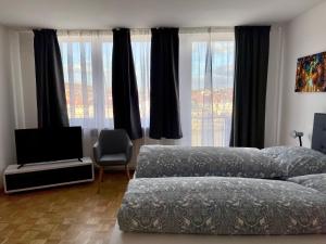 1 dormitorio con sofá, TV y ventanas en Etzel Ferienwohnung (Main Riverview), en Würzburg