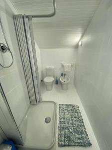 a small bathroom with a shower and a toilet at Green House Trecastagni in Trecastagni