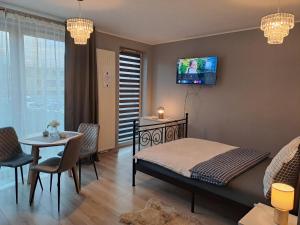 Televízia a/alebo spoločenská miestnosť v ubytovaní Apartament Kryształowy