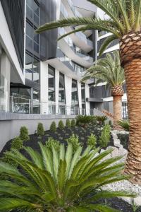a building with palm trees in front of it at Caroline Serviced Apartments Sandringham in Sandringham