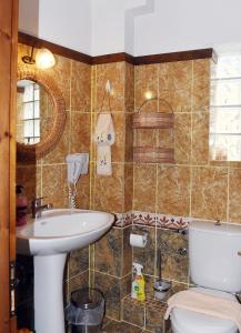 a bathroom with a sink and a toilet at ΛΑΓΟΥΜΙ suite Α1 in Elati Trikalon