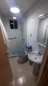 een badkamer met een toilet, een wastafel en een douche bij Palmer in Santiago de los Caballeros