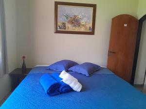 1 cama azul con almohadas azules y una foto en la pared en Casa Inteira Família próxima ao Santuário Nacional, en Aparecida