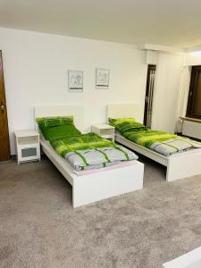 two beds in a room with green sheets at Wohnung für Firmen, Arbeiter ab 6 Monaten bis Unbefristet in Linsengericht