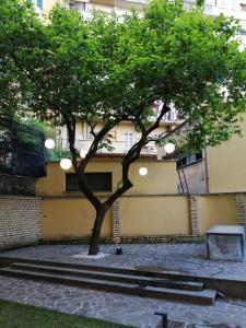 a tree in a courtyard next to a building at Rome Bridge Apartment in Rome