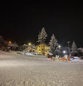 a snow covered street at night with houses and trees at Pensiunea "Casa Frasin" in Vatra Dornei