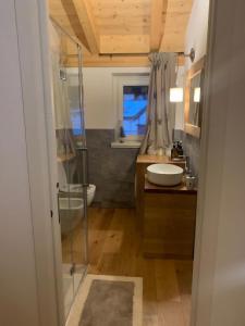 uma casa de banho com uma cabina de duche em vidro e um lavatório. em Chez nous em Aprica