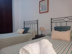 2 nebeneinander sitzende Betten in einem Schlafzimmer in der Unterkunft Apartamento completo en Sierra Sur in Villanueva de San Juan