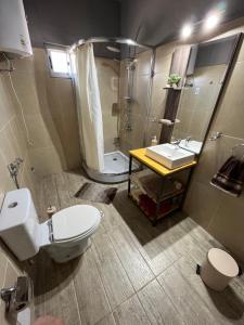 a bathroom with a toilet and a sink and a shower at María Chusena alojamiento 1 in Fray Bentos