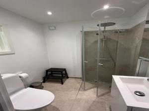 uma casa de banho com um chuveiro, um WC e um lavatório. em Holiday Home Janna - 1-4km from the sea in Sealand by Interhome em Vig