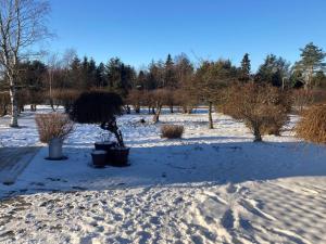 un jardín en la nieve con árboles en el fondo en Holiday Home Senja - 450m from the sea in NE Jutland by Interhome, en Hals