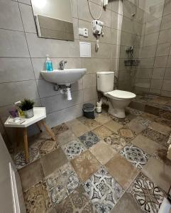 łazienka z umywalką i toaletą w obiekcie Pension Moravia w Ołomuńcu