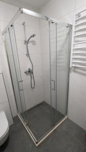 eine Duschkabine im Bad mit WC in der Unterkunft Adria By The Sea - AB in Igalo