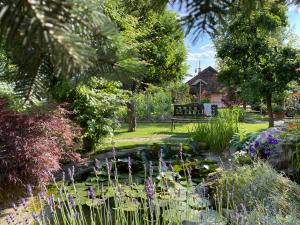 Vườn quanh Green Oasis Garden