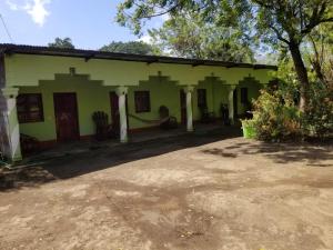 a green house with a tree in front of it at Hostel Caballo Blanco in Moyogalpa