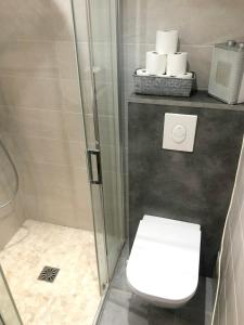 a bathroom with a shower and a toilet and towels at Maison de 6 chambres avec jardin amenage et wifi a Sainte Croix aux Mines in Sainte-Croix-aux-Mines