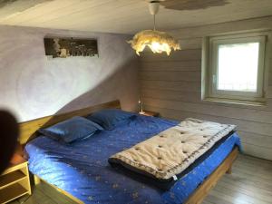 a bedroom with a bed with blue sheets and a window at Maison de 6 chambres avec jardin amenage et wifi a Sainte Croix aux Mines in Sainte-Croix-aux-Mines