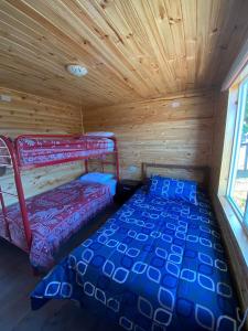 1 dormitorio con litera en una cabaña de madera en Cabañas El Viejo Roble, en Castro