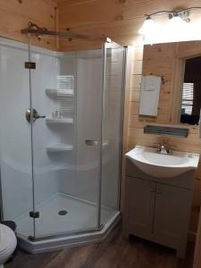 ein Bad mit einer Dusche und einem Waschbecken in der Unterkunft Cozy Cabin - New Tiny Cabin with Hot Tub/Fire Pit in Sevierville