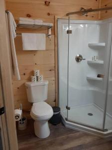 ein Bad mit einem WC und einer Glasdusche in der Unterkunft Cozy Cabin - New Tiny Cabin with Hot Tub/Fire Pit in Sevierville