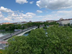 een brug over een rivier met bomen en gebouwen bij Chez Alam à L'opéra de Lyon in Lyon