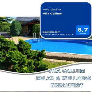 a website for a villa cullen swimming pool at Vila Callum RELAX & WELLNESS in Ostrava