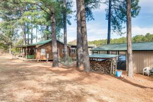 una cabaña en el bosque con árboles en Georgia Lakefront Cabin with Fire Pit and Grills!, en Ocilla