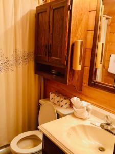 a bathroom with a toilet and a sink at Robin's Roost in Sevierville