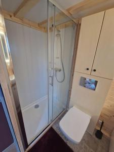 uma pequena casa de banho com chuveiro e WC em Magnifique petite maison 