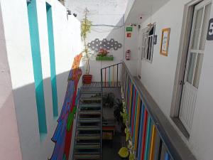 Foto dalla galleria di Monkey Safari Hostel a Querétaro