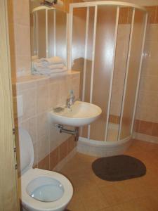 W łazience znajduje się toaleta, umywalka i prysznic. w obiekcie Apartmán Edita w mieście Velké Losiny